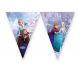 Disney Frozen Festone bandierine