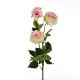 Rosa Pompetuse ramo con 3 fiori