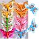 Festa Masha Orso Farfalle Colorate 