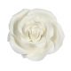 Rose in zucchero bianche 4 cm ( 2 pz)